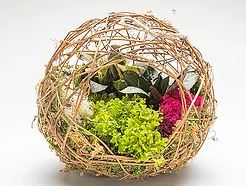 Grapevine Hanging Ball with Plants